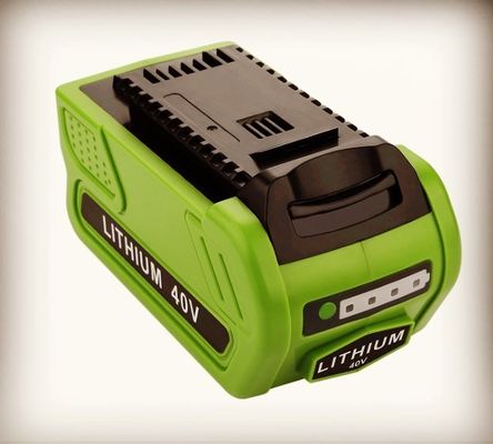 5000mAh Greenworks 리?? 배터리