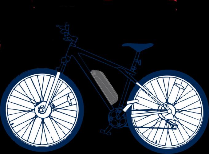 36V Ebike Hailong 다운튜브 전기 자전거 리?? 배터리 USB 충전기와 함께 1
