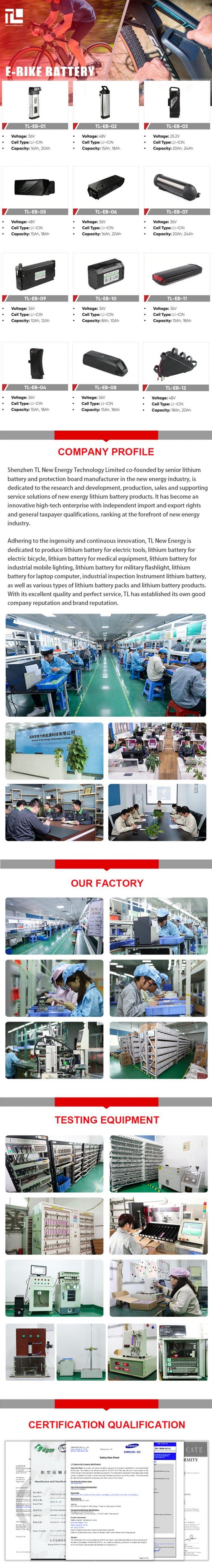 36V Ebike Hailong 다운튜브 전기 자전거 리?? 배터리 USB 충전기와 함께 2